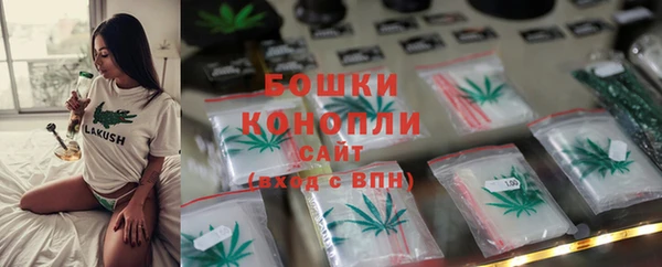 спайс Богданович