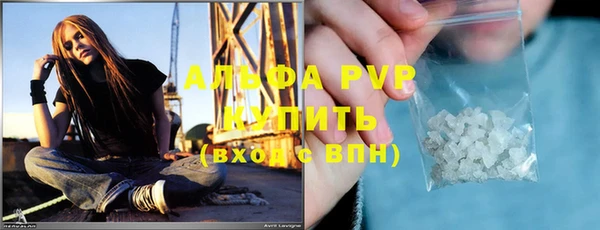 спайс Богданович