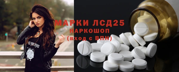 спайс Богданович
