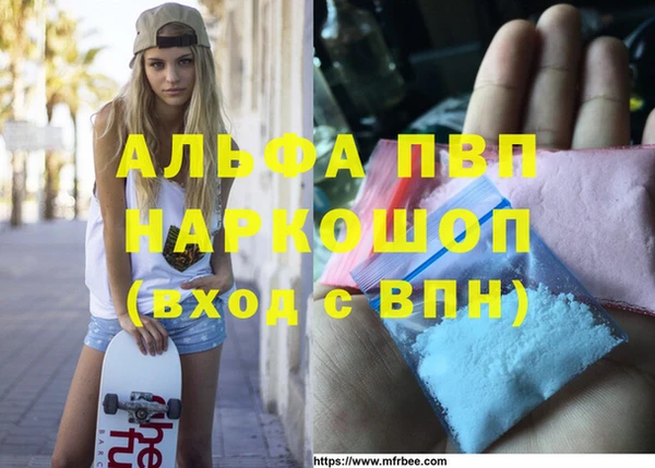 спайс Богданович