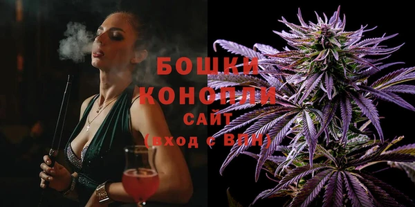 спайс Богданович