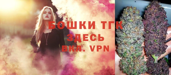 PSILOCYBIN Богородицк