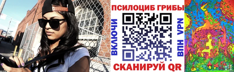 где продают наркотики  Хвалынск  Галлюциногенные грибы мухоморы 